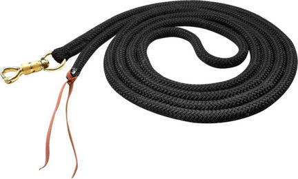 Waldhausen Bodenarbeitsseil Longe Schwarz mit Edelstahl - 4,2 m – Bild 1 von 2