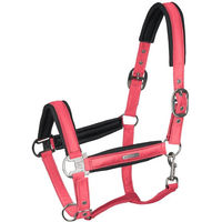 Produktbild von Waldhausen Breath Nylonhalfter für Ponys in Hibiskus Rosa Pink