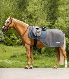 Produktbild von Waldhausen Comfort Fliegen-Ausreitdecke für Pferde Blau 145 cm