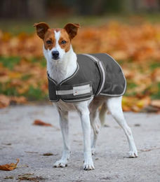 Produktbild von Waldhausen Comfort Hundedecke aus Oxford-Gewebe Grau 45 cm - 200 g