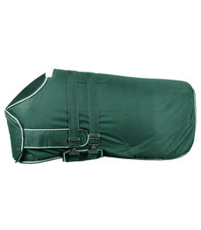 Waldhausen Comfort Regen-Fohlendecke grün wasserdicht - 100 g – Bild 1 von 5