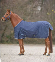 Waldhausen Comfort Regendecke für Pferde mit Kreuzgurten Blau 125 cm – Bild 1 von 5