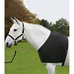Waldhausen Comfort Vest Pferdedecken-Brustschutz und Schulterschutz Schwarz Größe M – Bild 1 von 10