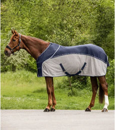 Waldhausen Cooler Fliegen-Sommerdecke für Pferde in Nachtblau/Grau 155 cm – Bild 1 von 6
