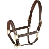 Produktbild von Waldhausen Crystal Lederhalfter für Pferde Braun/Gold Warmblut