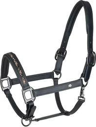 Waldhausen Crystal Lederhalfter für Pferde Schwarz/Grau Warmblut – Bild 1 von 7
