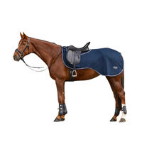 Produktbild von Waldhausen Economic Fleece-Ausreitdecke für Ponys in Nachtblau