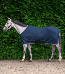 Waldhausen Economic Fleece-Decke für Pferde mit Kreuzgurten in Blau 155 cm – Bild 1 von 4