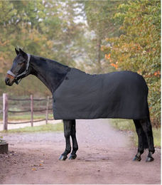 Waldhausen Economic Fleece Unterdecke für Pferde Schwarz 135 cm – Bild 1 von 9