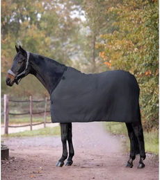 Waldhausen Economic Fleece Unterdecke für Pferde Schwarz 145 cm – Bild 1 von 10