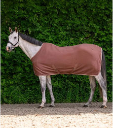 Waldhausen Economic Fleecedecke für Pferde mit Kreuzgurten in Braun 125 cm – Bild 1 von 6