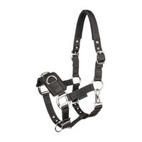 Produktbild von Waldhausen Economic Longierhalfter für Ponys aus Nylon in Schwarz