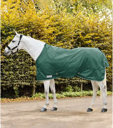 Produktbild von Waldhausen Economic Outdoor-Decke für Pferde aus Polyester in Grün