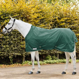 Waldhausen Economic Regendecke Outdoordecke für Pferde Tannengrün 135 cm – Bild 1 von 1