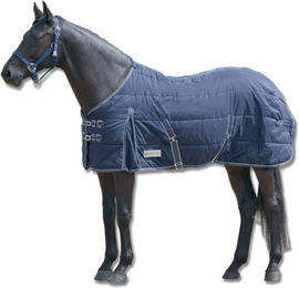 Waldhausen Economic Stalldecke für Pferde aus Polyester in Navy Blau 105 cm 200g – Bild 1 von 2