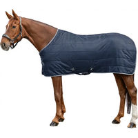 Produktbild von Waldhausen Economic Stalldecke für Pferde aus Polyester Blau 145 cm