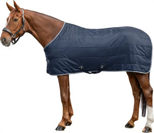 Waldhausen Economic Stalldecke für Pferde aus Polyester in Blau 125 cm – Bild 1 von 6