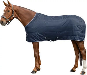 Waldhausen Economic Stalldecke für Pferde aus Polyester in Blau – Bild 1 von 1