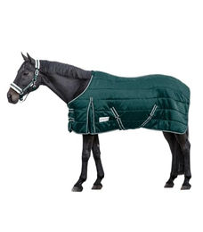 Produktbild von Waldhausen Economic Stalldecke für Pferde aus Polyester in Grün 125 cm - 200 g