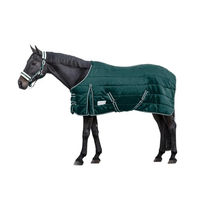 Produktbild von Waldhausen Economic Stalldecke für Pferde aus Polyester in Grün 125 cm - 200 g