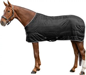Waldhausen Economic Stalldecke für Pferde aus Polyester Schwarz 105 cm – Bild 1 von 6