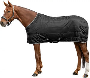 Waldhausen Economic Stalldecke für Pferde aus Polyester Schwarz 300g – Bild 1 von 1