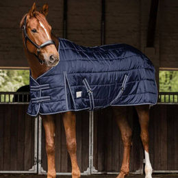 Waldhausen Economic Stalldecke für Pferde Blau 165 cm - 300 g – Bild 1 von 3