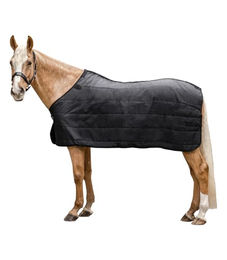 Waldhausen Economic Thermo Unterdecke für Pferde Schwarz 145 cm - 200 g – Bild 1 von 10