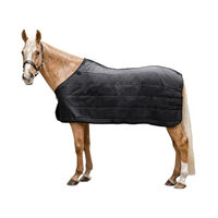 Produktbild von Waldhausen Economic Thermo Unterdecke für Pferde Schwarz 165 cm - 200 g
