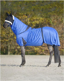 Waldhausen Ekzemdecke für Pferde Blau 115 cm aus Polyester – Bild 1 von 5