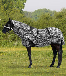 Waldhausen Ekzemdecke Zebra Pferdedecke 125 cm - 125 cm – Bild 1 von 6