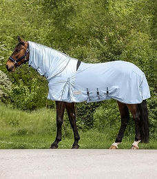 Waldhausen Ekzemer-Fliegendecke Protect für Pferde Blau 135 cm – Bild 1 von 5
