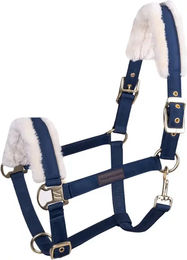 Waldhausen Exclusive Halfter für Shetland-Ponys aus Stoff in Blau und Gold – Bild 1 von 4