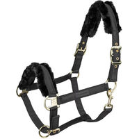 Produktbild von Waldhausen Exclusive Halfter für Shetland-Ponys aus Stoff in Schwarz mit Gold