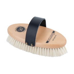 Waldhausen Exclusive Line Glanzbürste mit Ziegenhaar als Pferdebürste für die Fellpflege - 1 Stk. – Bild 1 von 2