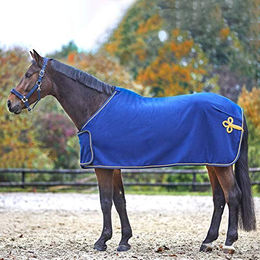 Waldhausen Fleece- und Sponsorendecke für Pferde Blau/Gold 135 cm – Bild 1 von 7