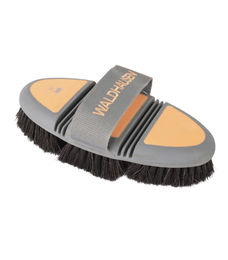 Waldhausen Flex Kardätsche Pferdebürste mit echtem Rosshaar in Pfirsich – Bild 1 von 3