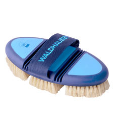 Waldhausen Flex Wurzelbürste mit Naturborsten in Blau mit biegsamem Rücken zur Fellpflege – Bild 1 von 5