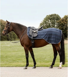 Waldhausen Fliegen-Ausreitdecke Economic für Warmblut in Nachtblau – Bild 1 von 5