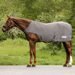 Waldhausen Fliegen-Führmaschinendecke Comfort für Pferde Blau 125 cm - 1 Stk. – Bild 1 von 2