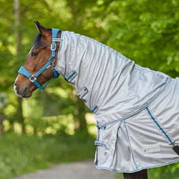 Waldhausen Fliegen-Halsdecke Protect für Warmblut in Blau/Grau aus Polyester – Bild 1 von 5