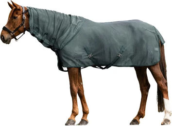 Waldhausen Fliegen Halsteil Comfort für Pferde in Piniengrün für Warmblut – Bild 1 von 5