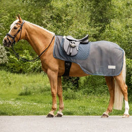 Waldhausen Fliegenausreitdecke Comfort für Pferde Grau 135 cm – Bild 1 von 6