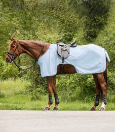 Waldhausen Fliegenausreitdecke Protect für Pferde Blau 125 cm – Bild 1 von 2