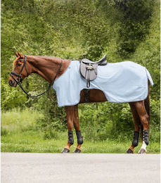 Waldhausen Fliegenausreitdecke Protect für Pferde Blau 135 cm – Bild 1 von 2