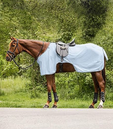Waldhausen Fliegenausreitdecke Protect für Pferde Blau 145 cm – Bild 1 von 2