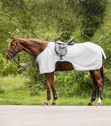 Waldhausen Fliegenausreitdecke Protect für Pferde Silbergrau/Grau 135 cm – Bild 1 von 3
