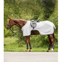 Produktbild von Waldhausen Fliegenausreitdecke Protect für Pferde Silbergrau/Grau 145 cm