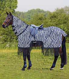Waldhausen Fliegenausreitdecke Zebra mit Fransen für Pferde 125 cm – Bild 1 von 6