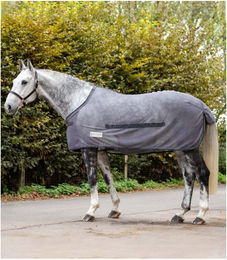 Waldhausen Fliegendecke Comfort mit Bauchlatz für Pferde Grau 155 cm - 155 cm – Bild 1 von 5